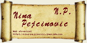 Nina Pejčinović vizit kartica